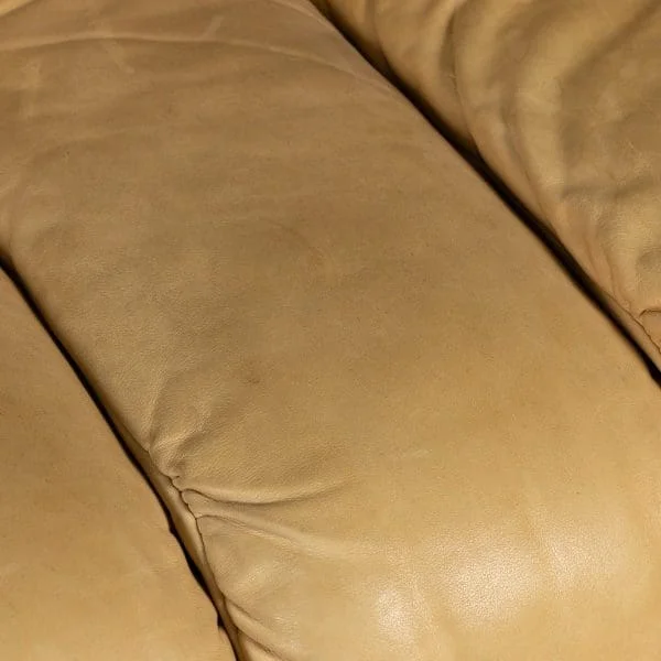 De Sede DS-600 "caterpillar" sofa in cream leather - Image 45