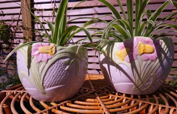 Pair of Martan Portugal Scalloped Plant Pots with Majolica Pink Daffodils - Image 2