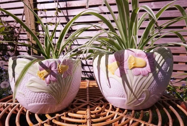 Pair of Martan Portugal Scalloped Plant Pots with Majolica Pink Daffodils - Image 3