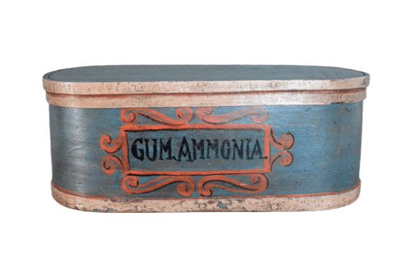 A decorative 19th century hand painted bentwood apothecary storage box