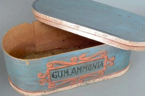 A decorative 19th century hand painted bentwood apothecary storage box - Image 5