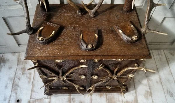 Antique Black Forest Antler Hall Stand - Image 9