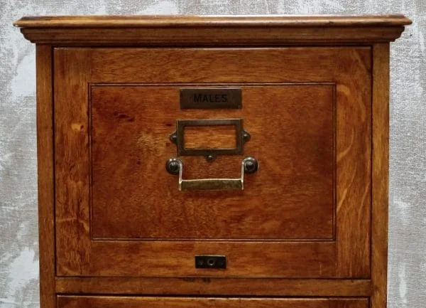 Antique Large Oak Filing Cabinet - Image 11