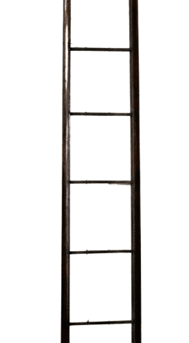 Regency Mahogany Library Pole Ladders