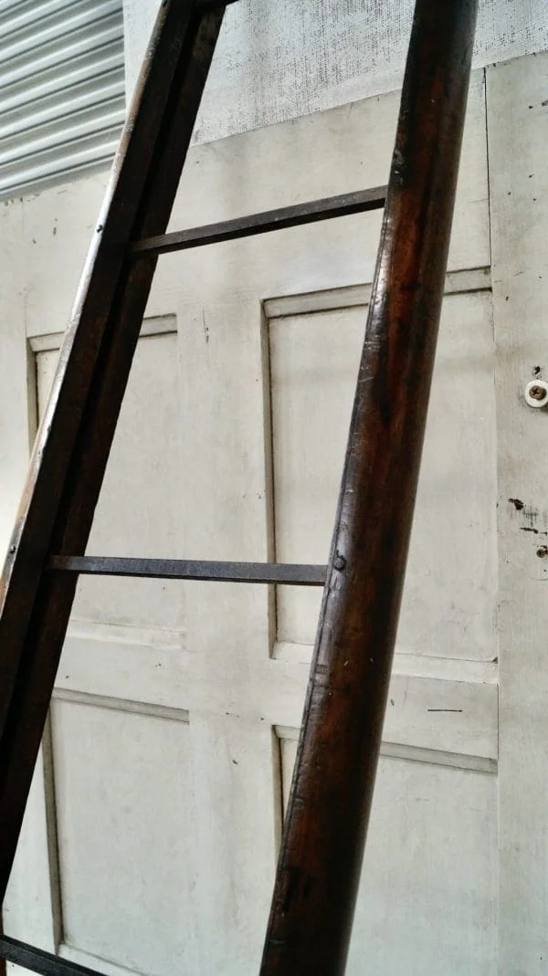 Regency Mahogany Library Pole Ladders - Image 6