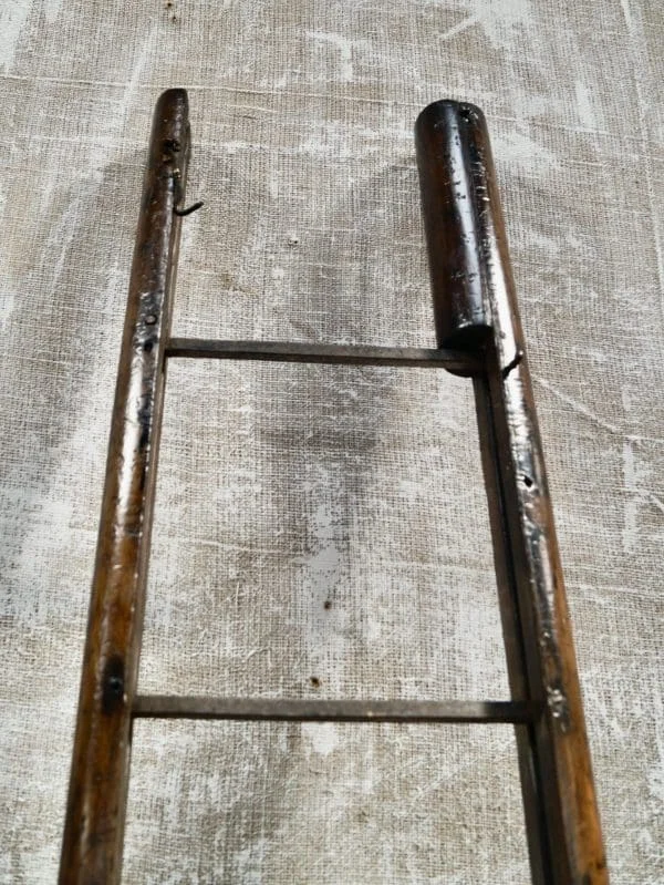 Regency Mahogany Library Pole Ladders - Image 2