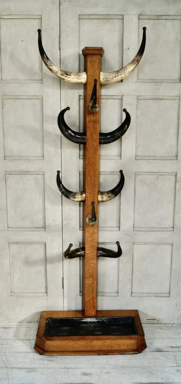 Victorian Cattle Horn Coat Stand