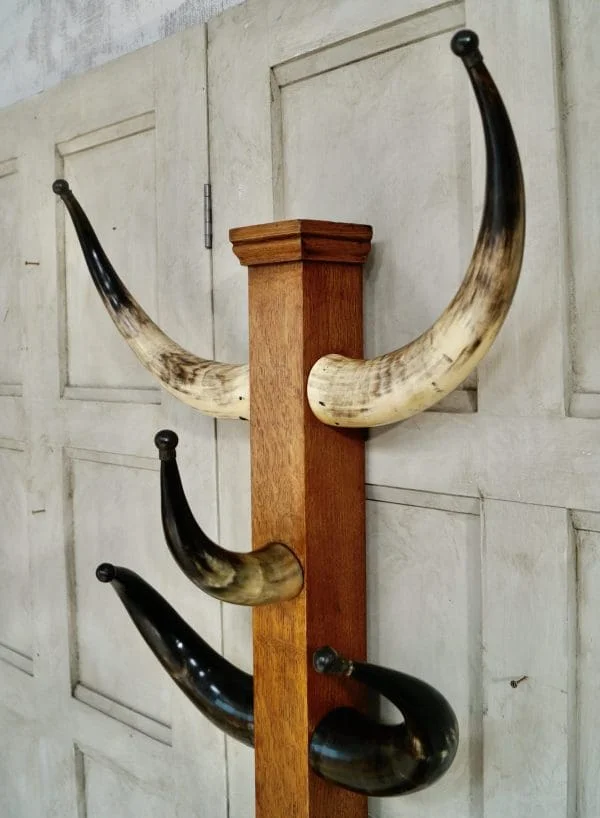 Victorian Cattle Horn Coat Stand - Image 6