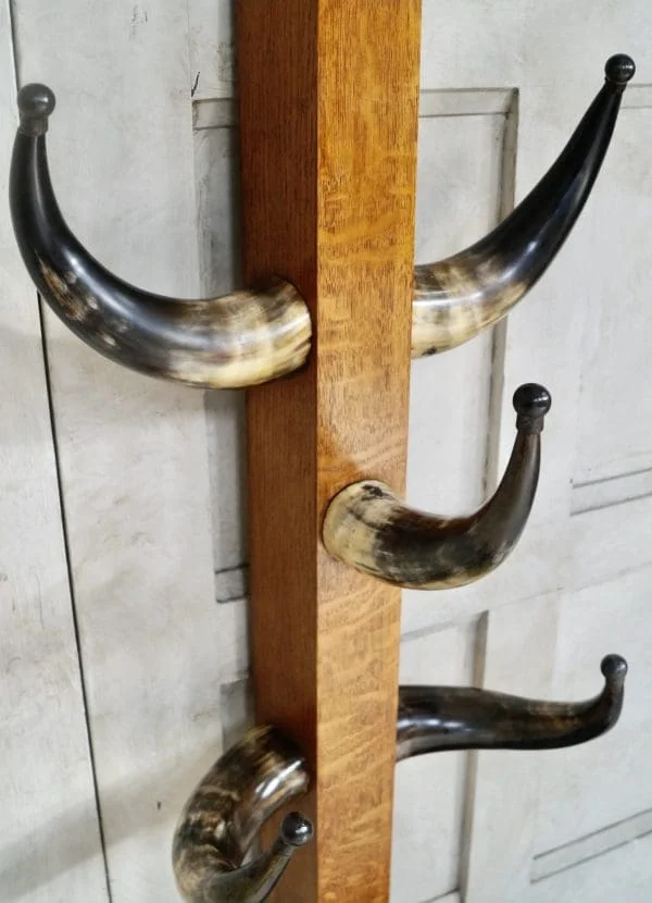 Victorian Cattle Horn Coat Stand - Image 4