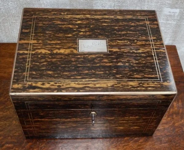 Victorian Coromandel Dressing Box - Image 14