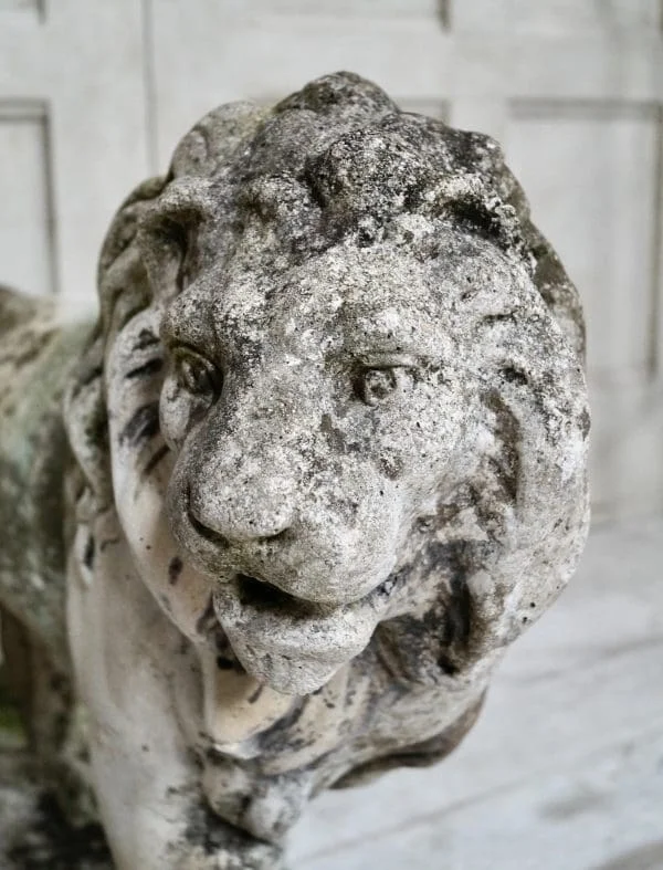 Pair of Stone Medici Lions - Image 4