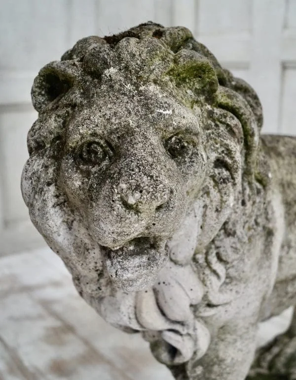 Pair of Stone Medici Lions - Image 3