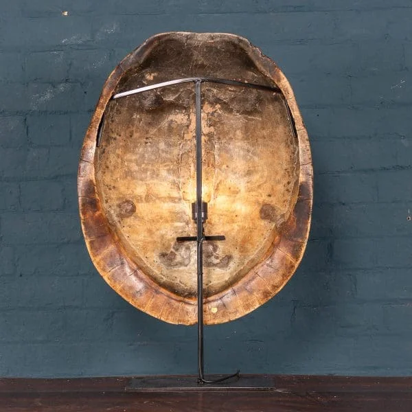 Late 19th Century "Blonde" Turtle Shell On a Lamp Mounted Stand - Image 4