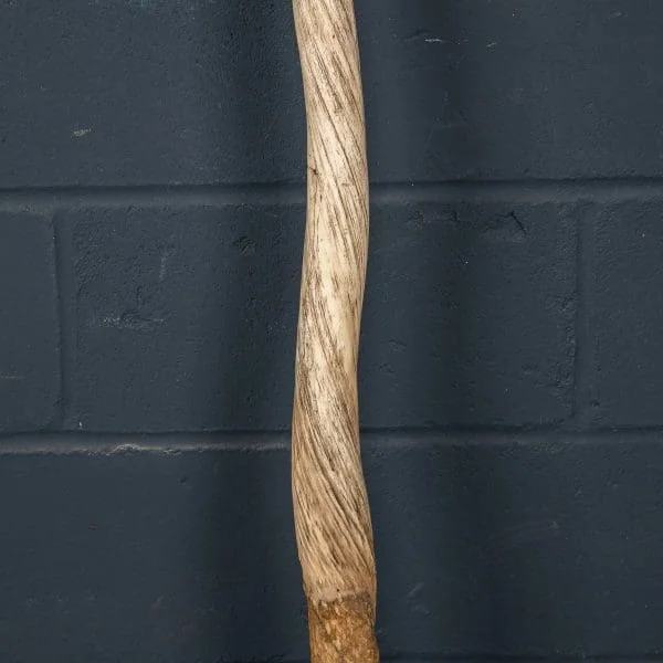 Late 19th Century Narwhal Tusk - Image 11