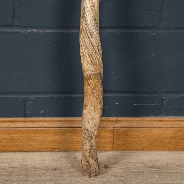 Late 19th Century Narwhal Tusk - Image 13