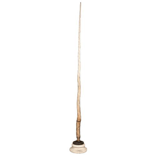 Late 19th Century Narwhal Tusk