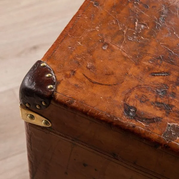 Louis Vuitton Trunk in Natural Cow Hide France Circa 1900 - Image 22