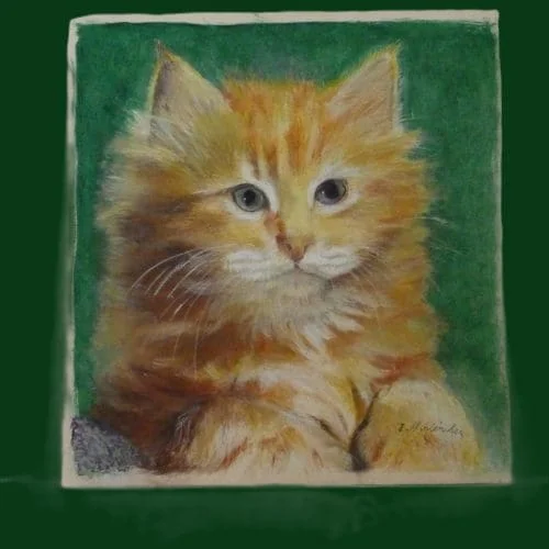 Portrait of a Ginger cat Mixed Media