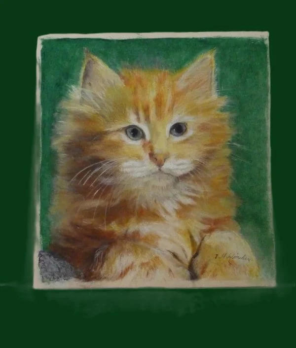 Portrait of a Ginger cat Mixed Media