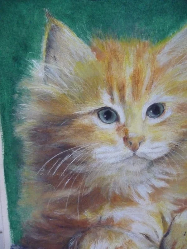 Portrait Of A Ginger Cat Painted In Mixed Media