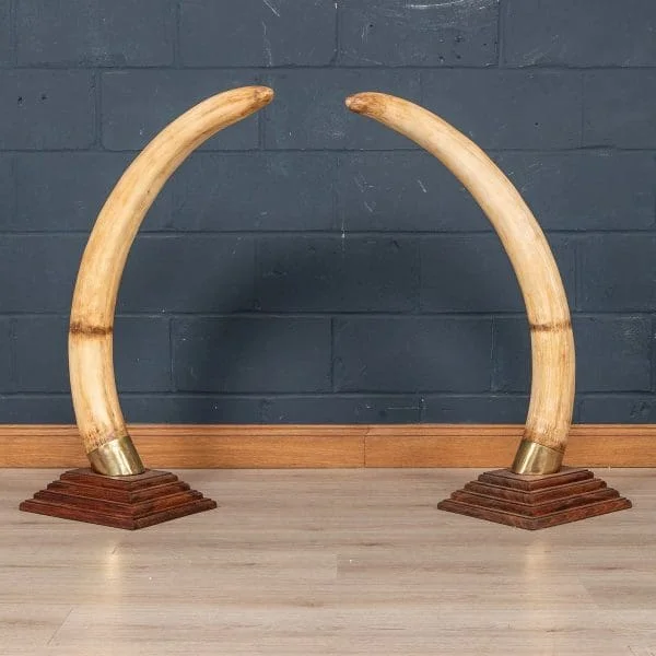 Large Pair of Modern Elephant Tusks - Image 4