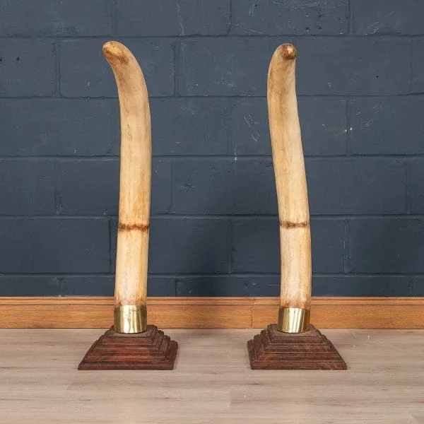 Large Pair of Modern Elephant Tusks - Image 5