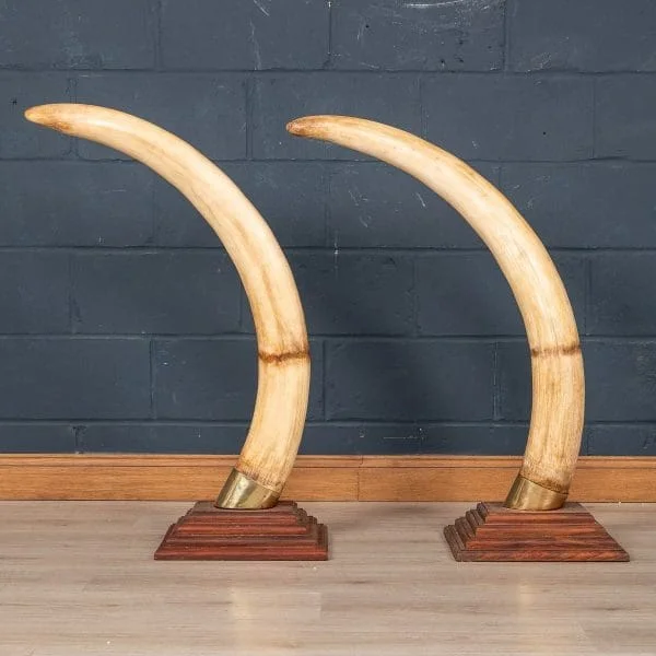 Large Pair of Modern Elephant Tusks - Image 6