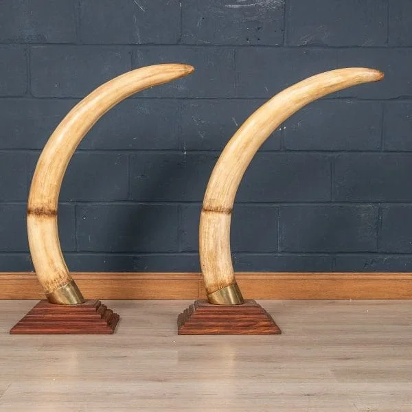 Large Pair of Modern Elephant Tusks - Image 8