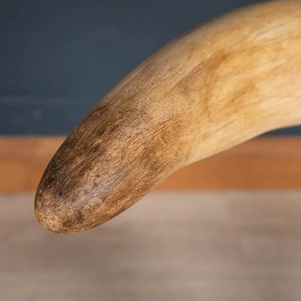 Large Pair of Modern Elephant Tusks - Image 10