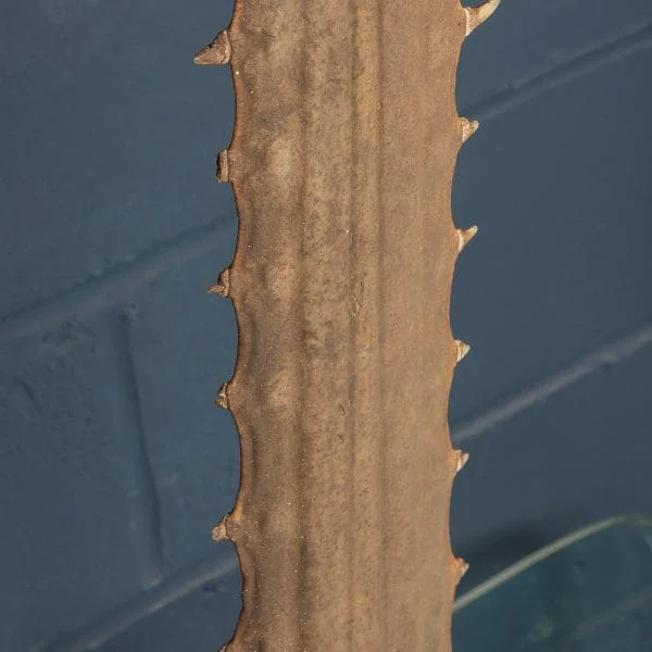 Antique Sawfish Rostrum Circa 1900 - Image 13